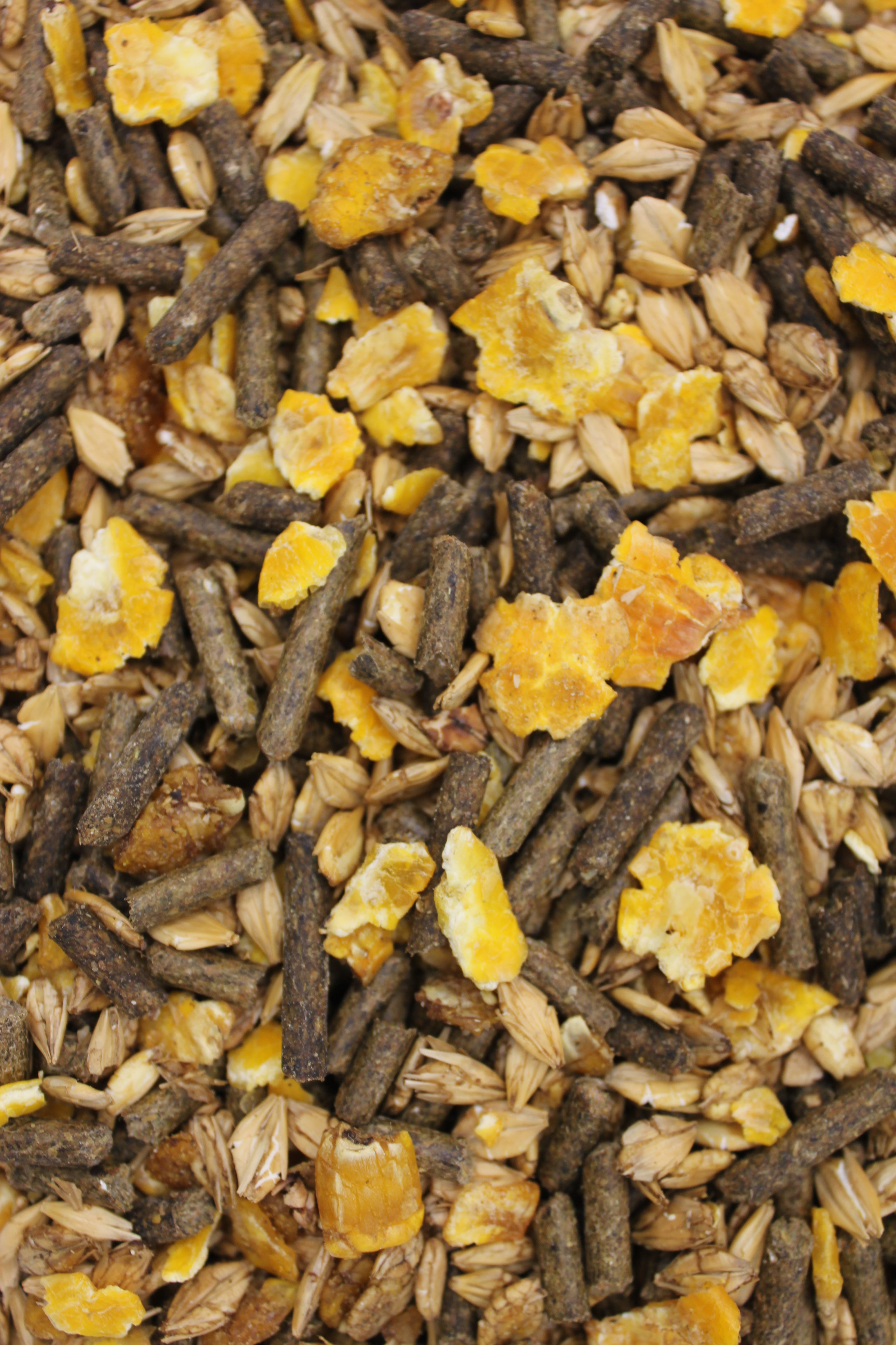 Energy Plus Müsli 20 kg Sportpferdefutter