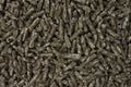 Kälberkorn 25 kg Kälberaufzuchtfutter