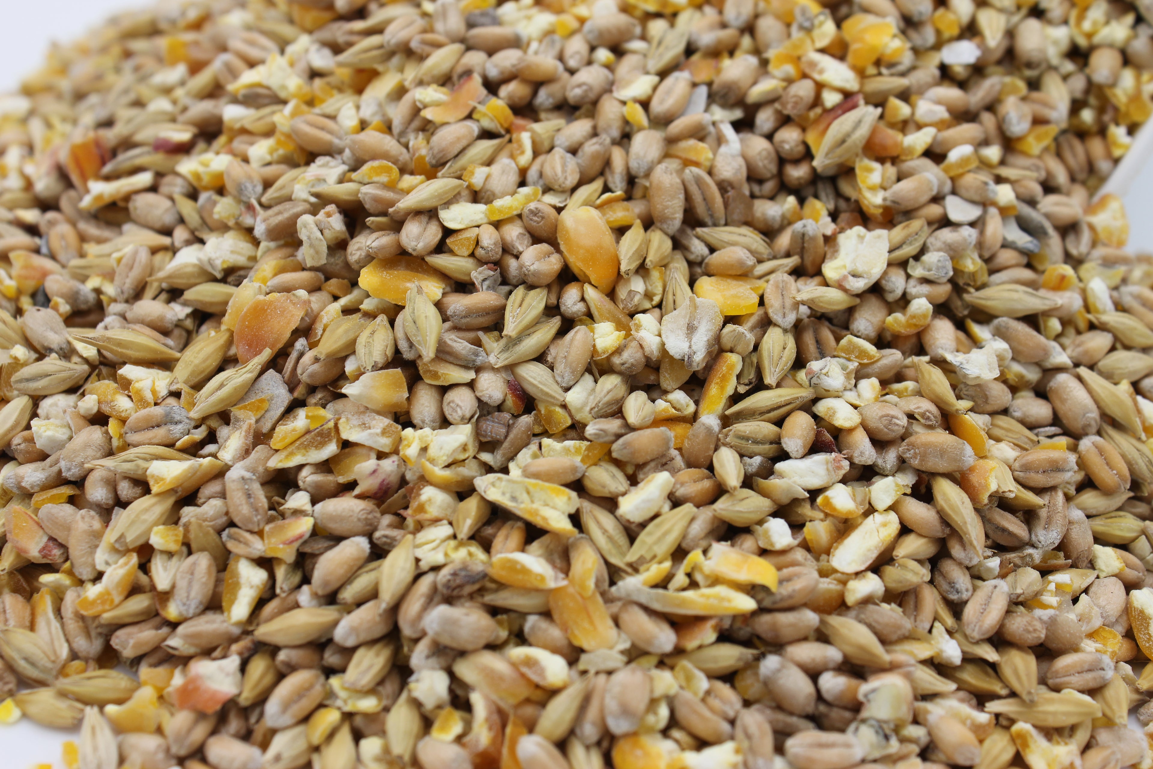 Körnerfutter 25 kg Geflügel