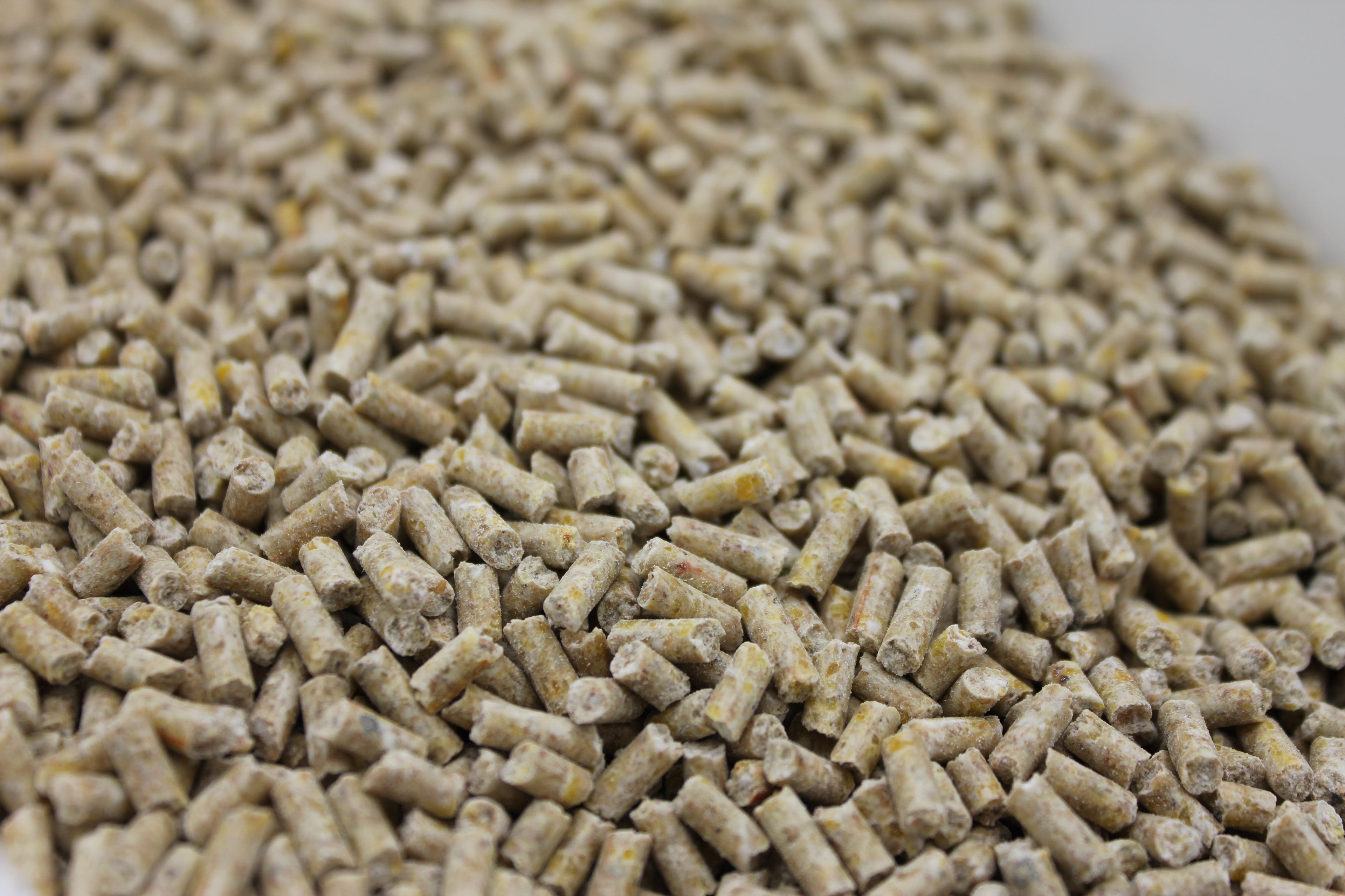 Junghennenalleinfutter gepresst 25 kg