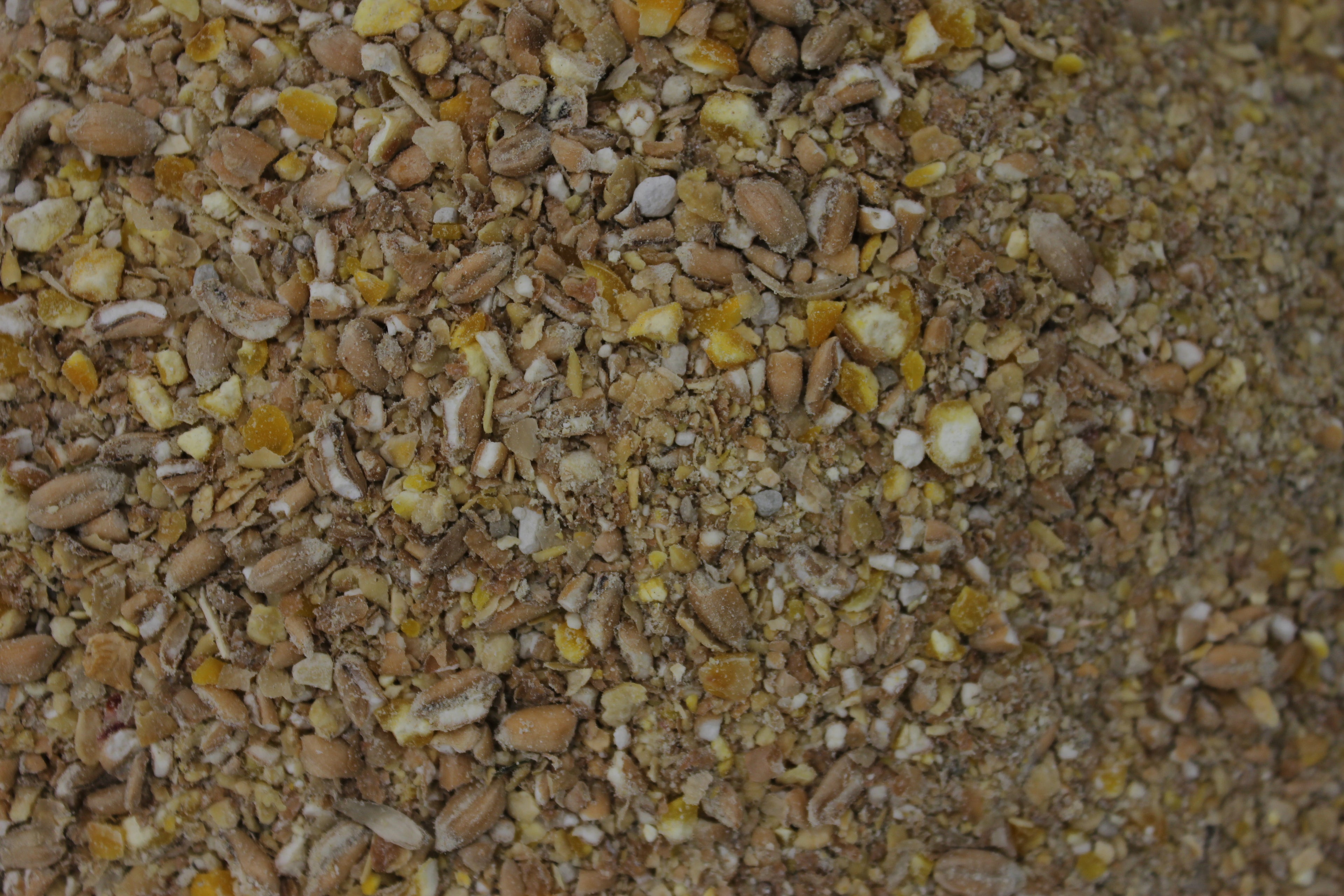 Legehennenalleinmehl 25 kg