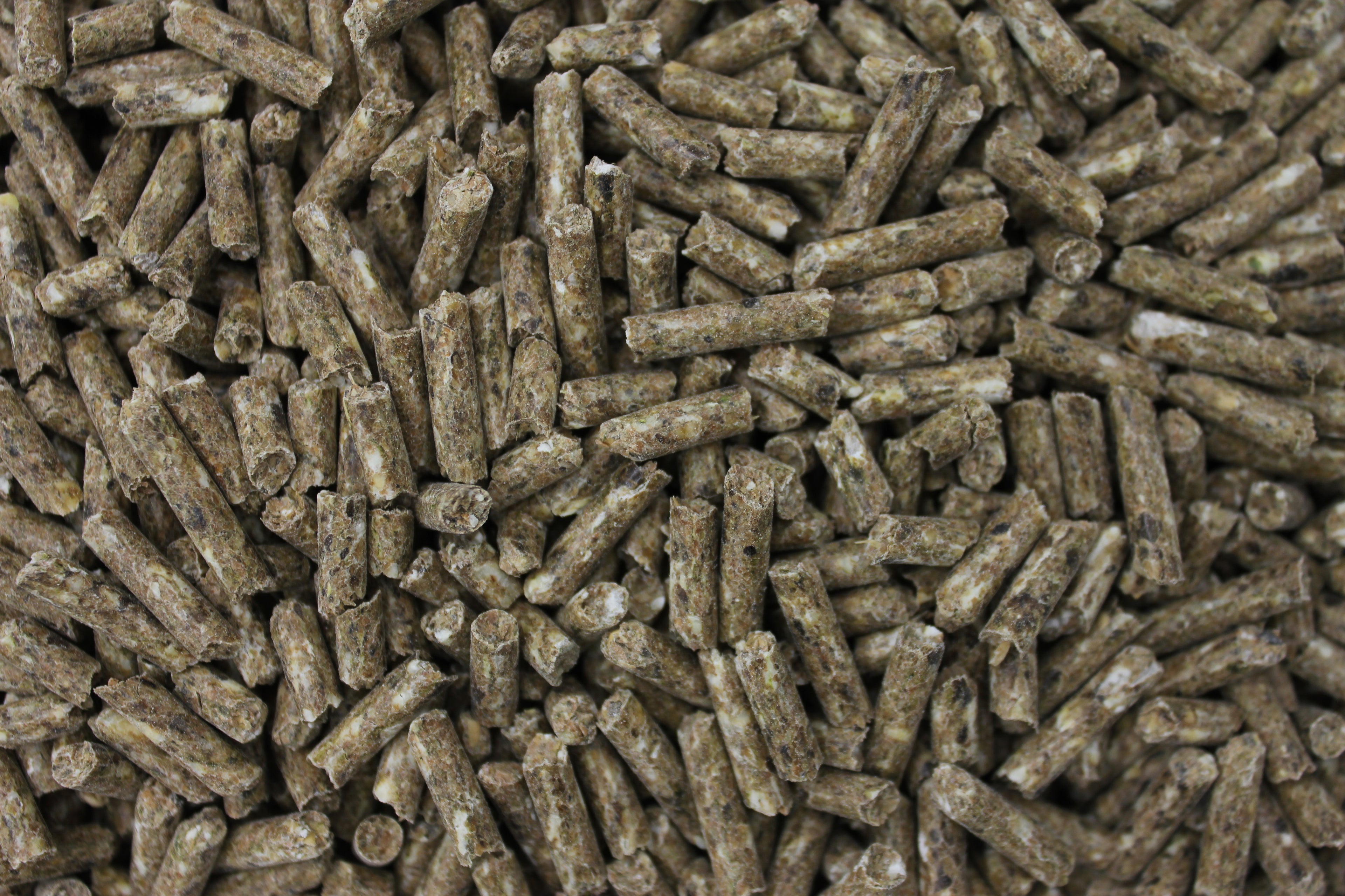 Schafkorn 25 kg Schaffutter gepresst