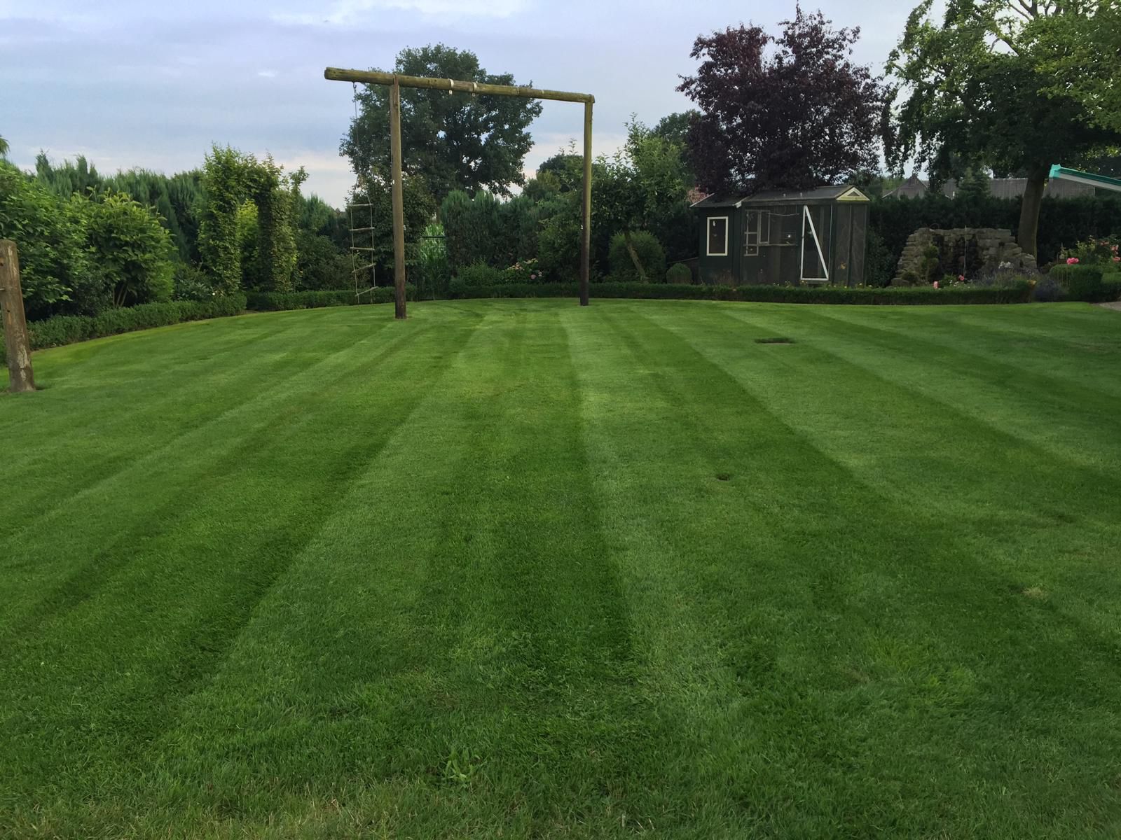 Rasendünger 15+10+17+4 NPK Dünger