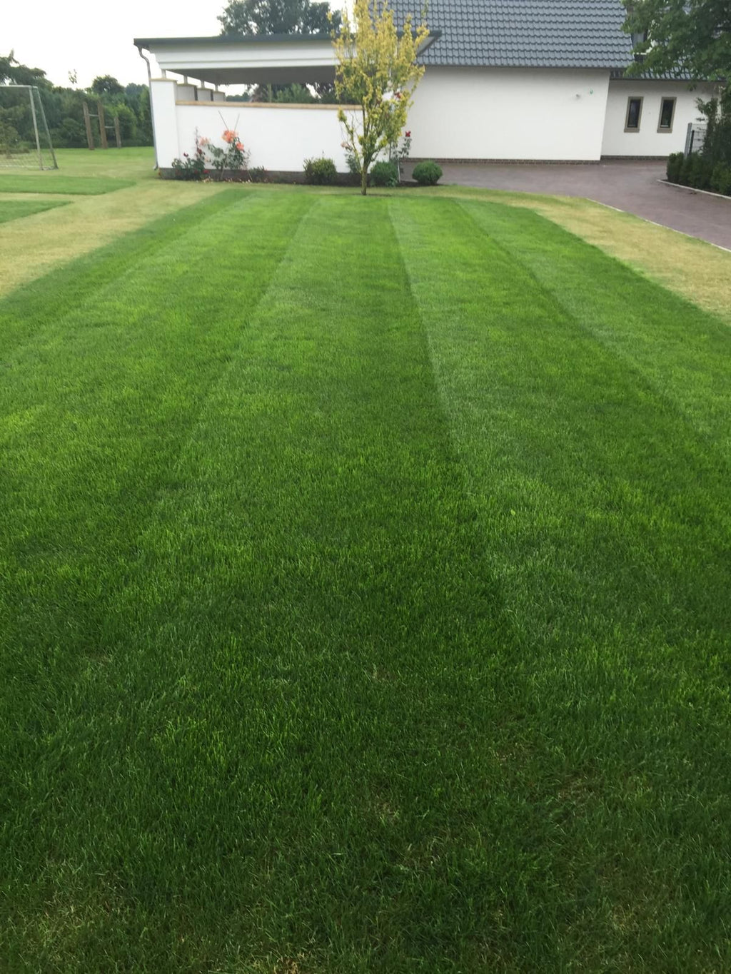 EMEL Rasendünger 25kg -  15+10+17+4 NPK Dünger Sofort & Langzeitwirkung